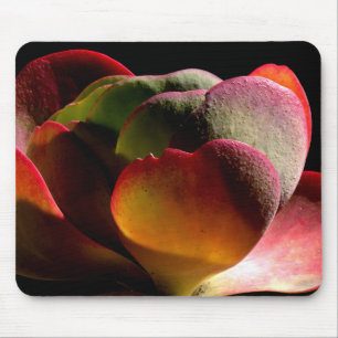 Sukkulente Wüste-Pflanze Mousepad