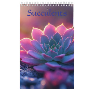 Sukkulenten Kalender