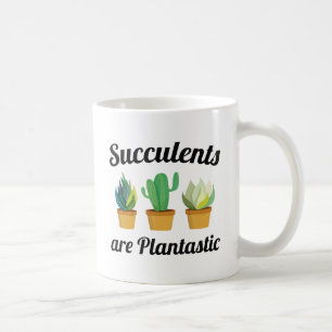 Sukkulenten sind pflanzenstisch kaffeetasse