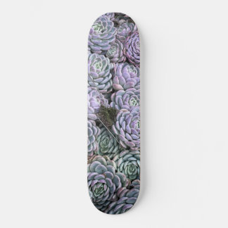 Sukkulenten, Sukkulenten, Sukkulenten Skateboard