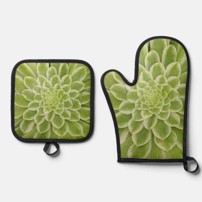 Sukkulenter Ofen-Mitt und Potthalter Ofenhandschuh & Topflappen-Set (Vorderseite)
