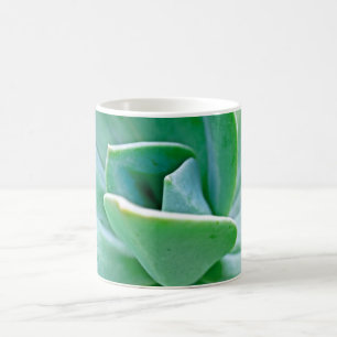 Sukkulenter Swirl Kaffeetasse