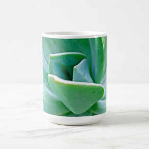 Sukkulenter Swirl Kaffeetasse