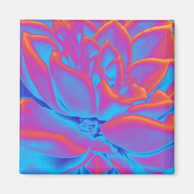 Sukkulentes Mysterium Magnet (Vorne)