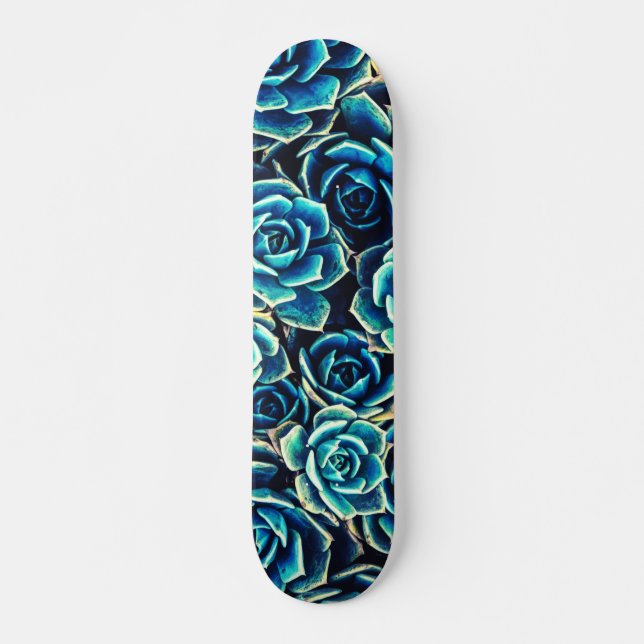 Sukkuline Skateboard (Vorne)