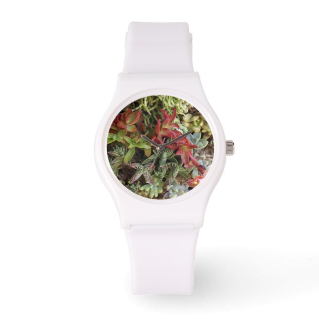 Sukkulose Armbanduhr (Vorderseite)