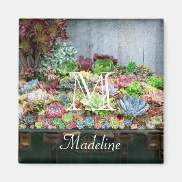 Sukkulturen in der Schatztruhe Magnet