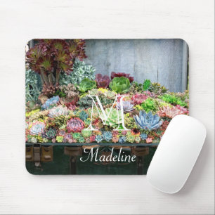 Sukkulturen in der Schatztruhe Mousepad
