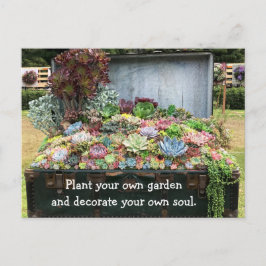 Sukkulturen in der Schatztruhe Postkarte