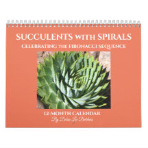 Sukkulturen mit Fibonacci-Spiralen