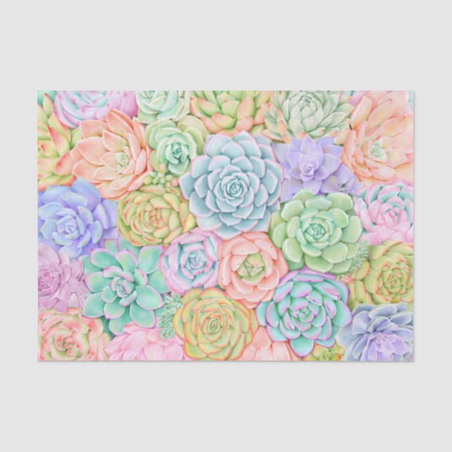 Sukkulturen Niedliche Pastelle in Aquarellfarben Seidenpapier (Vorderseite)