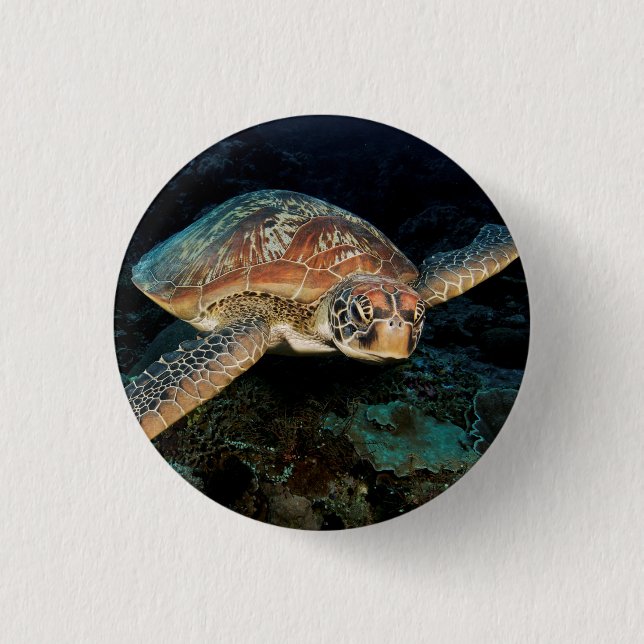 Sulawesi | Meeresschildkröte Button (Vorderseite)