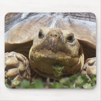 Sulcata Schildkröte Mousepad