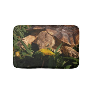 Sulcata Tortoise in Gras- und Dandelion-Blume Badematte