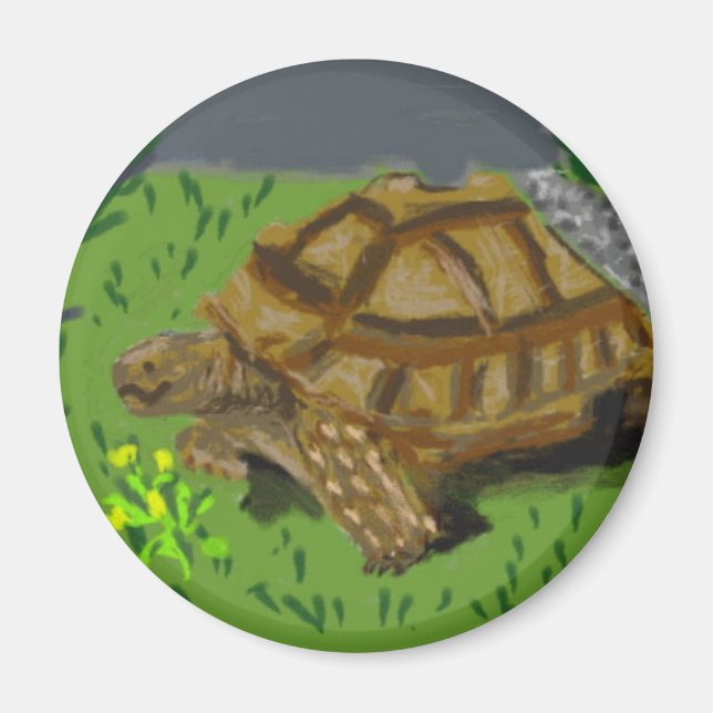 Sulcata Tortoise Magnet (Vorne)