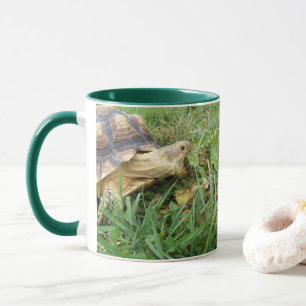 Sulcata Tortoise, Mouth Open, Gras Weiden Tasse