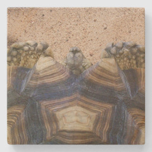 Sulcata Tortoise und Sand Magnet Steinuntersetzer