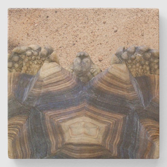 Sulcata Tortoise und Sand Magnet Steinuntersetzer (Vorderseite)