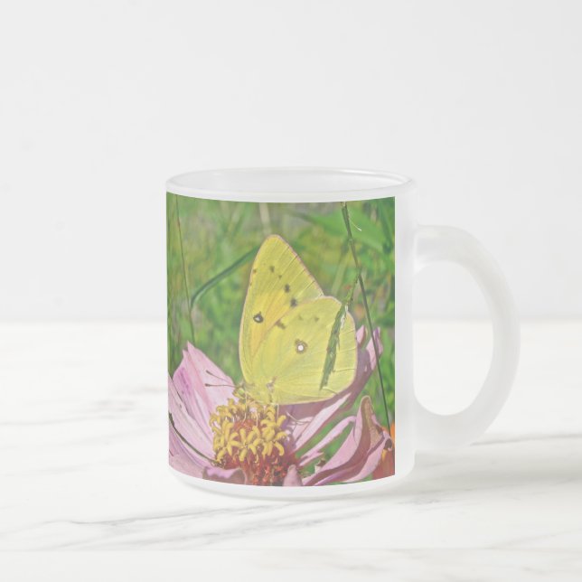 Sulfur Butterfly Mattglastasse (Rechts)
