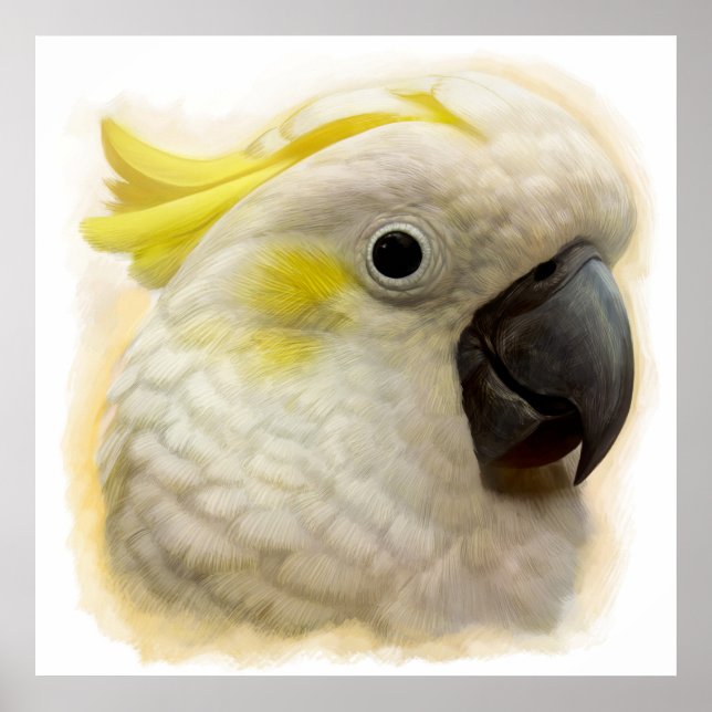 Sulfur Crested Cockatoo realistische Malerei Poster (Vorne)