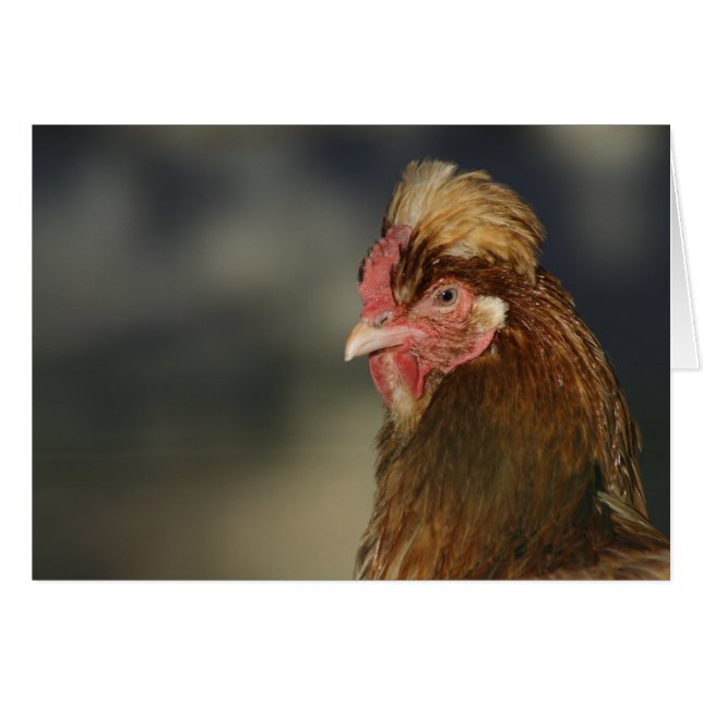 Sulmtaler (Vorderseite (Horizontal))