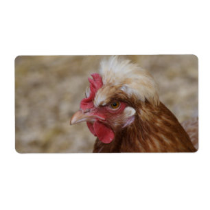 Sulmtaler Hen