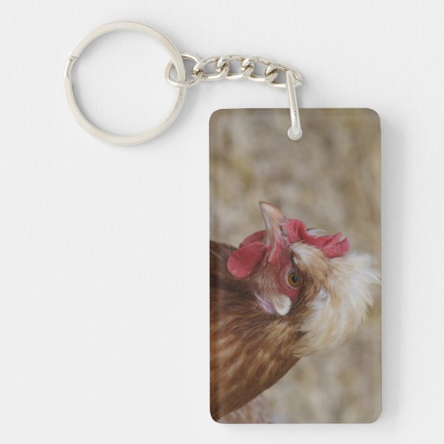 Sulmtaler Hen (Devant)