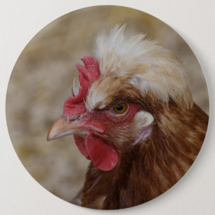 Sulmtaler Hen Button