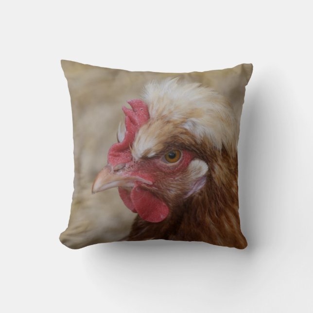 Sulmtaler Hen Kissen (Vorderseite)
