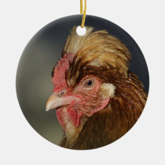 Sulmtaler Keramikornament (Vorne)