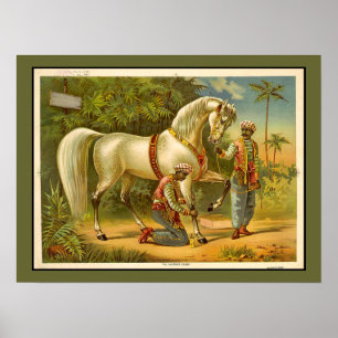 Sultans Steed RARE POSTER VINTAGE Customisé
