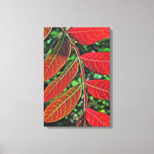 sumac-Blätter im Herbst Leinwanddruck