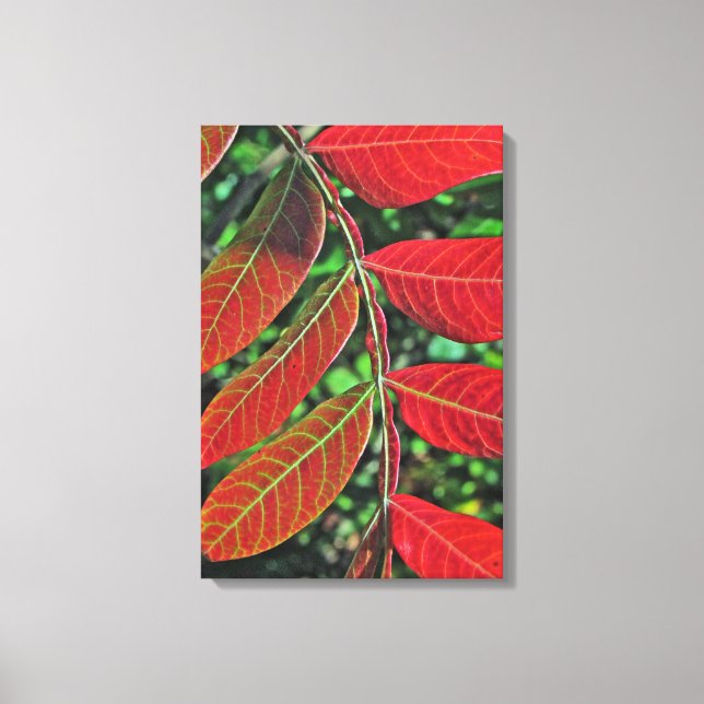 sumac-Blätter im Herbst Leinwanddruck (Vorderseite)