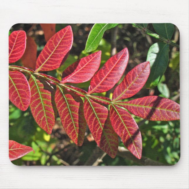 sumac-Blätter im Herbst Mousepad (Vorne)