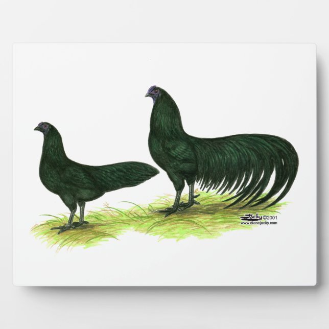 Sumatra Black Chickens Fotoplatte (Vorderseite)