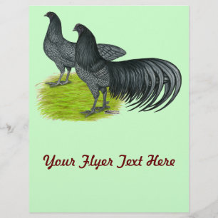 Sumatra:  Blauer Pair Flyer