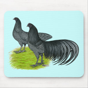 Sumatra: Blaues Paar Mousepad