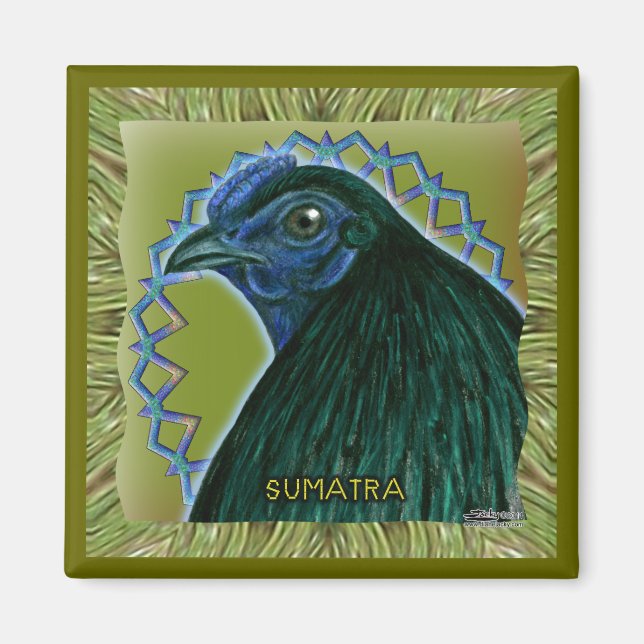 Sumatra Hahn gerahmt Magnet (Vorne)