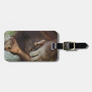 Sumatra-Orang-Utan, Pongo pygmaeus Gepäckanhänger