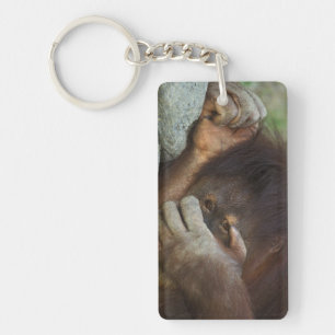 Sumatra-Orang-Utan, Pongo pygmaeus Schlüsselanhänger