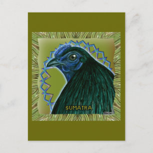 Sumatra Rooster Gerahmt Postkarte