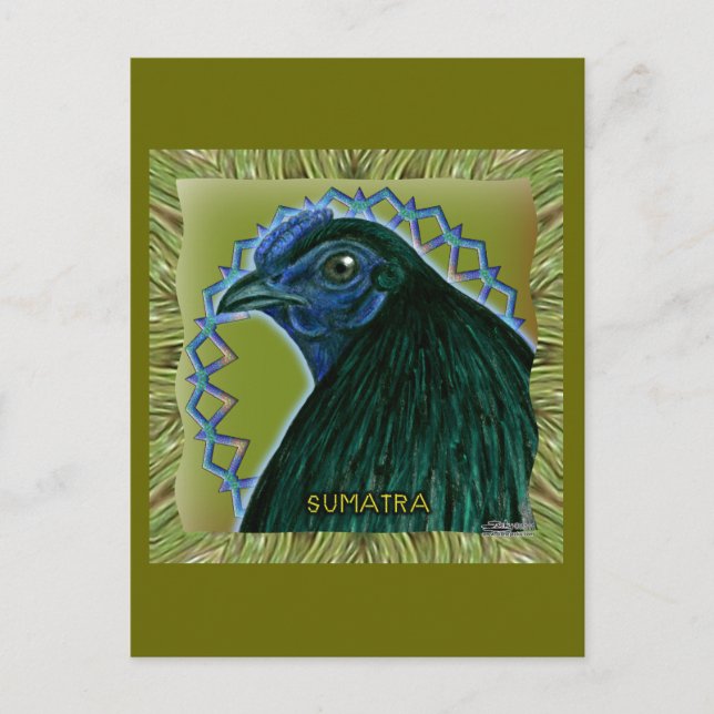 Sumatra Rooster Gerahmt Postkarte (Vorderseite)