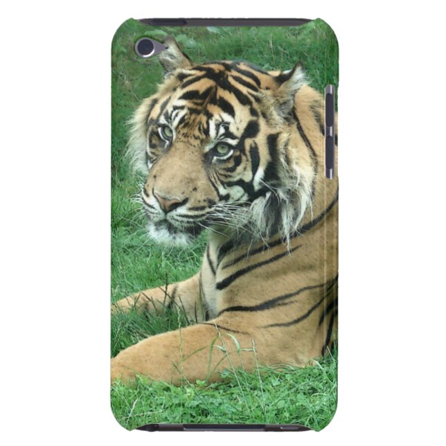 Sumatra-Tiger auf Ihrer iPod-Touch-Case-Mate iPod Touch Hülle (Rückseite)