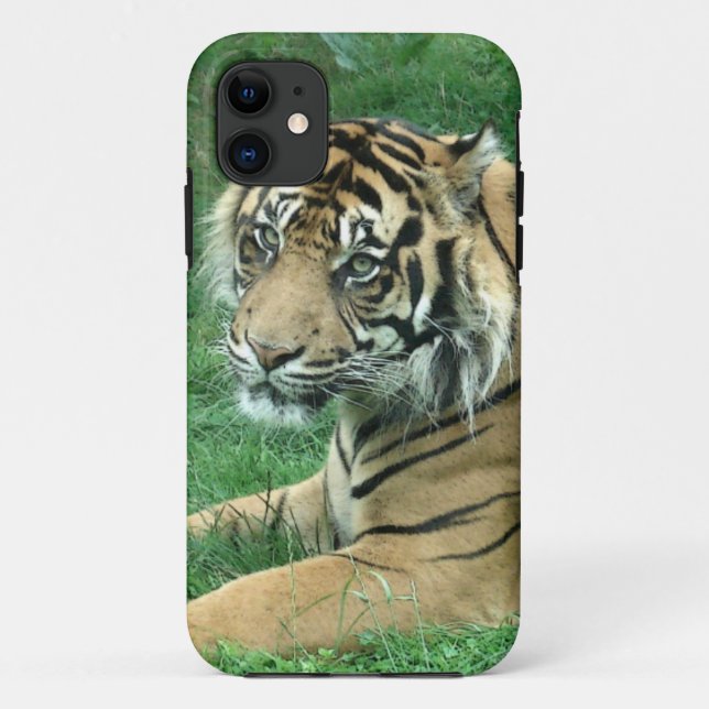 Sumatra-Tiger auf iPhone 5 kaum dort Case-Mate iPhone Hülle (Rückseite)