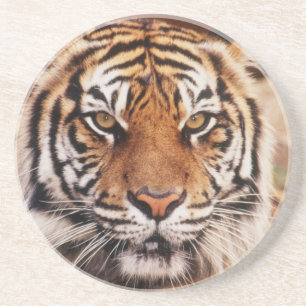 Sumatra-Tiger Getränkeuntersetzer