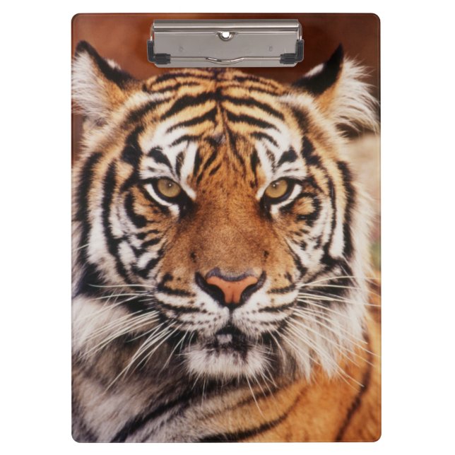 Sumatra-Tiger Klemmbrett (Vorderseite)