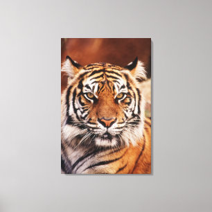 Sumatra-Tiger Leinwanddruck