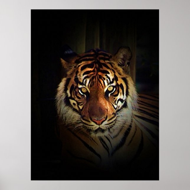 Sumatra-Tiger Poster Druck (Vorne)