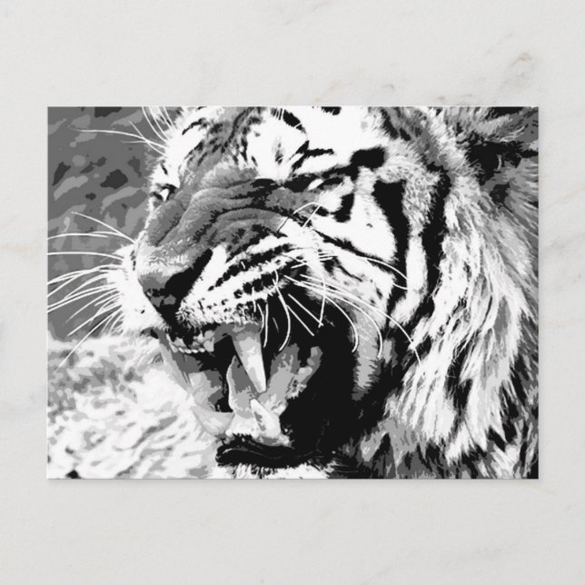 Sumatra-Tiger Postkarte (Vorderseite)