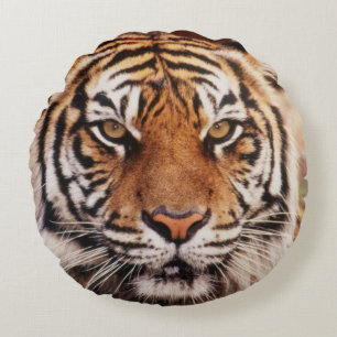 Sumatra-Tiger Rundes Kissen